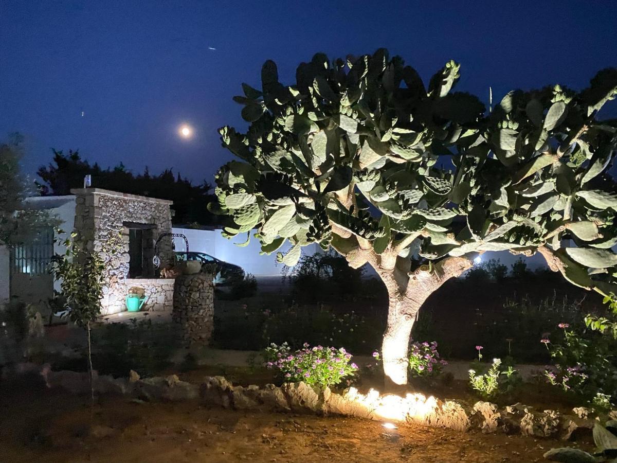 B&B Fellini Gallipoli Eksteriør billede